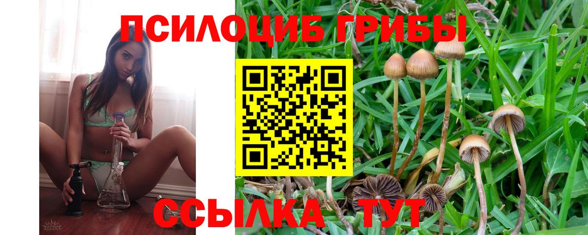 Псилоцибиновые грибы ЛСД  Вход с VPN  Апатиты  Псилоцибиновые грибы прущие грибы 